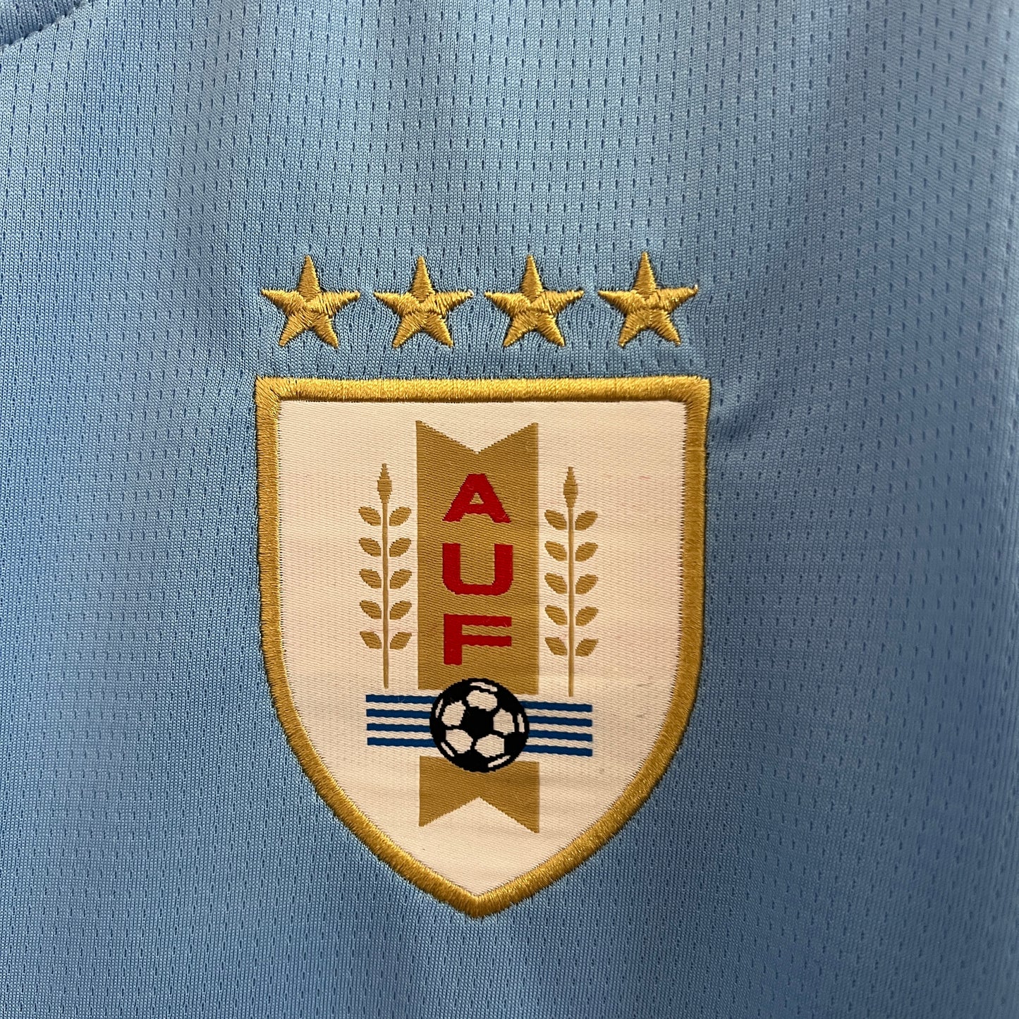 Camiseta Uruguay primera equipación 24