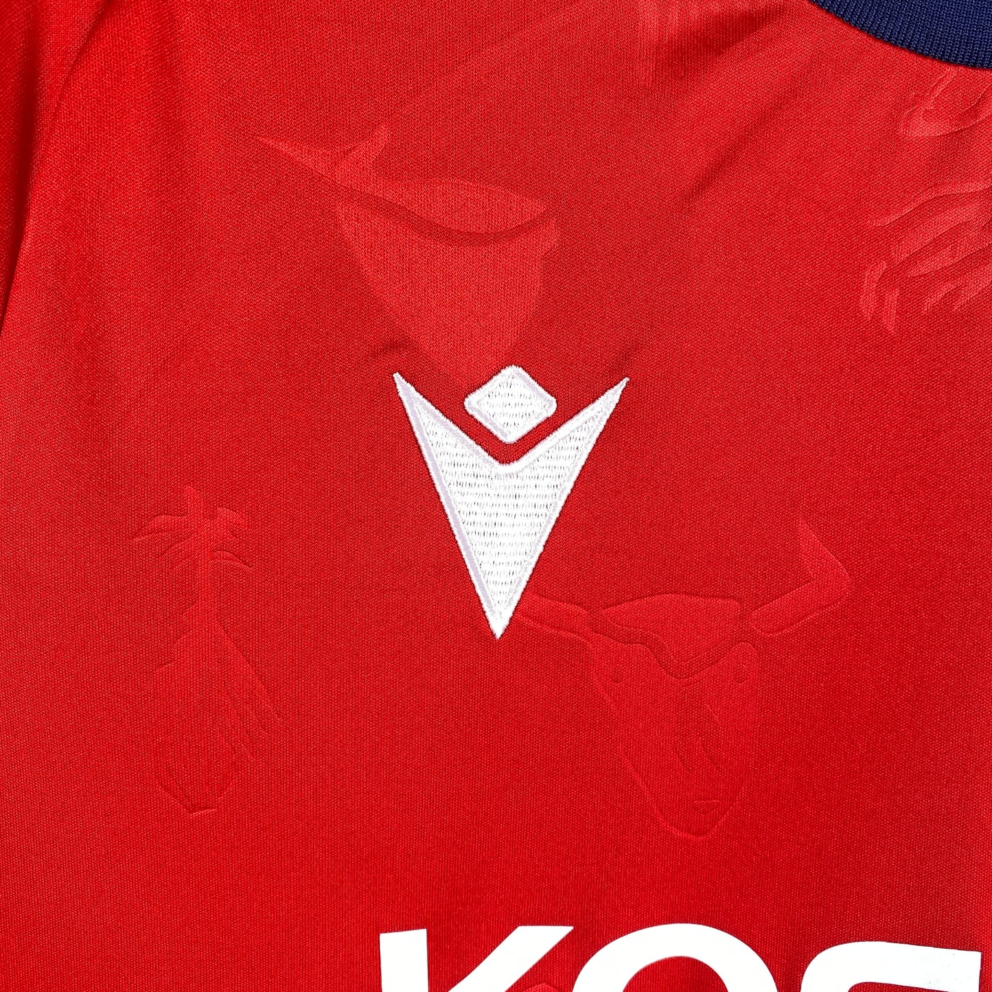 Camiseta Osasuna primera equipación 24-25
