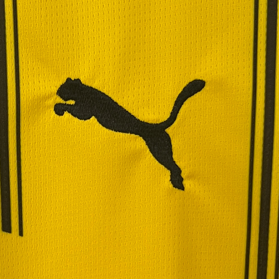 Camiseta Borussia Dortmund primera equipación 24-25
