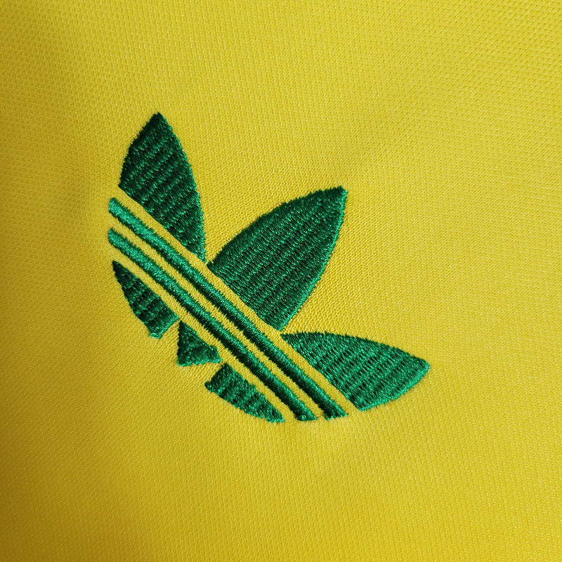 Camiseta Brasil retro 1979
