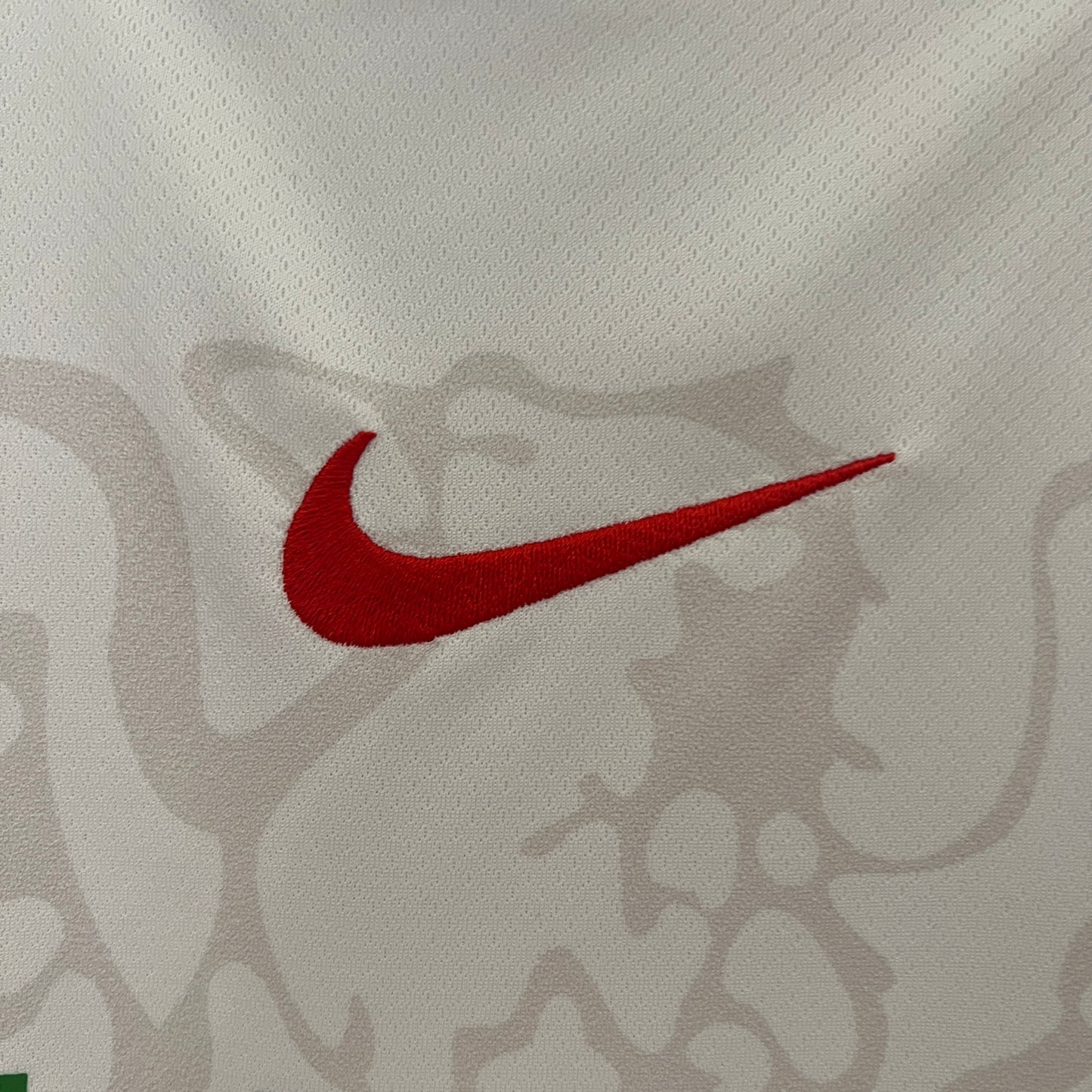 Camiseta Nigeria primera equipación 24
