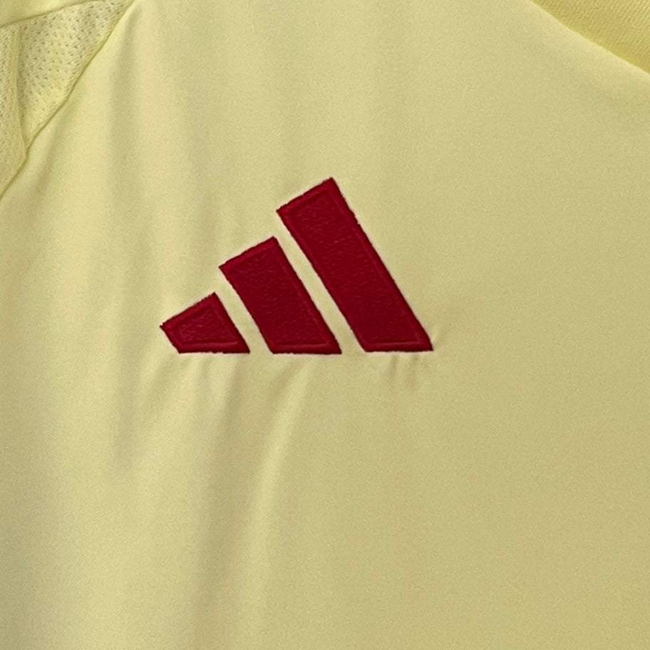 Camiseta España segunda equipación 24