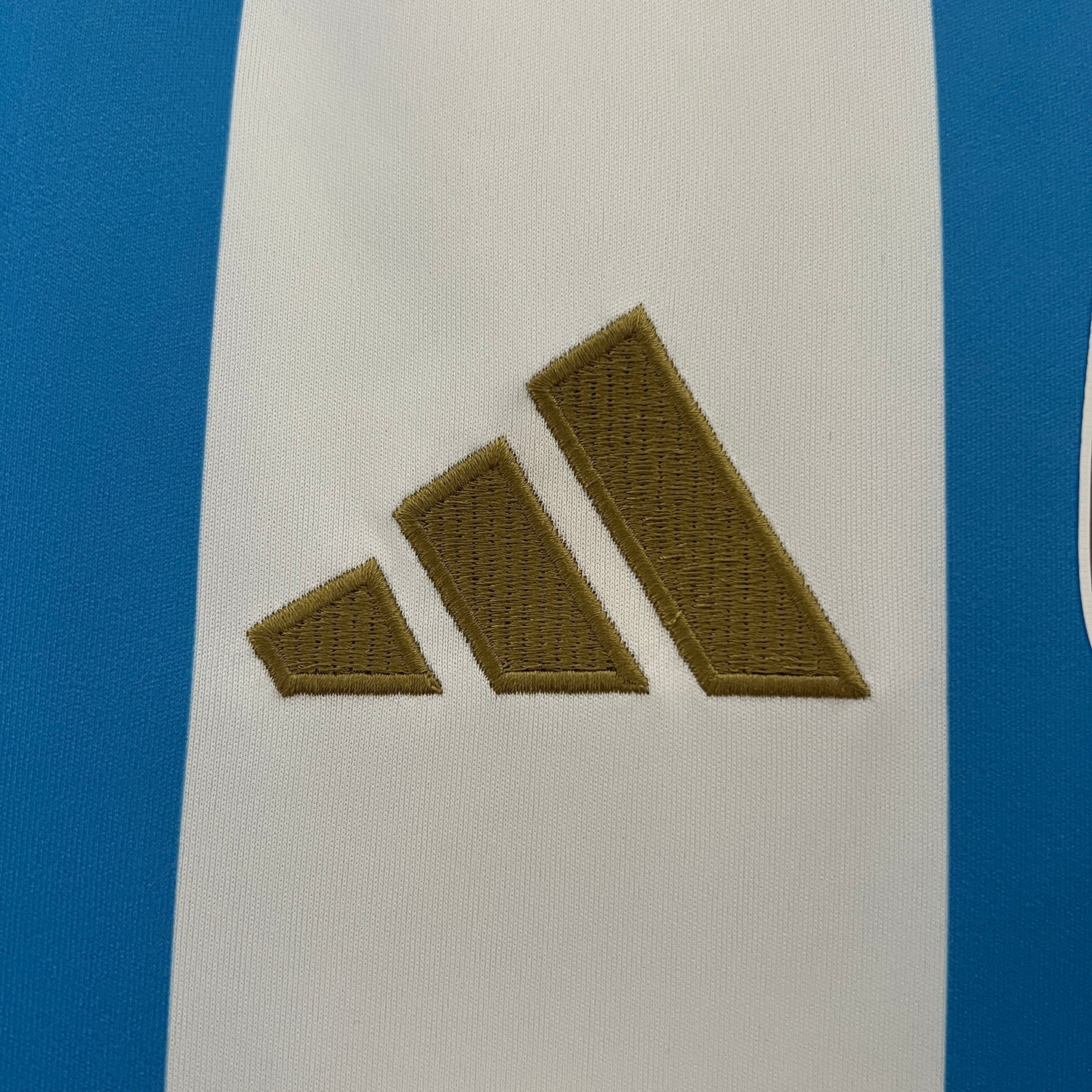Camiseta Argentina primera equipación 24