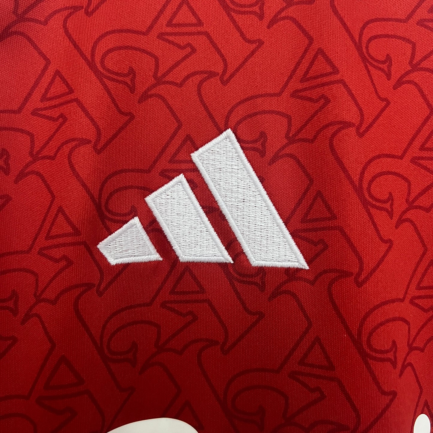 Camiseta Arsenal Home 25/26
