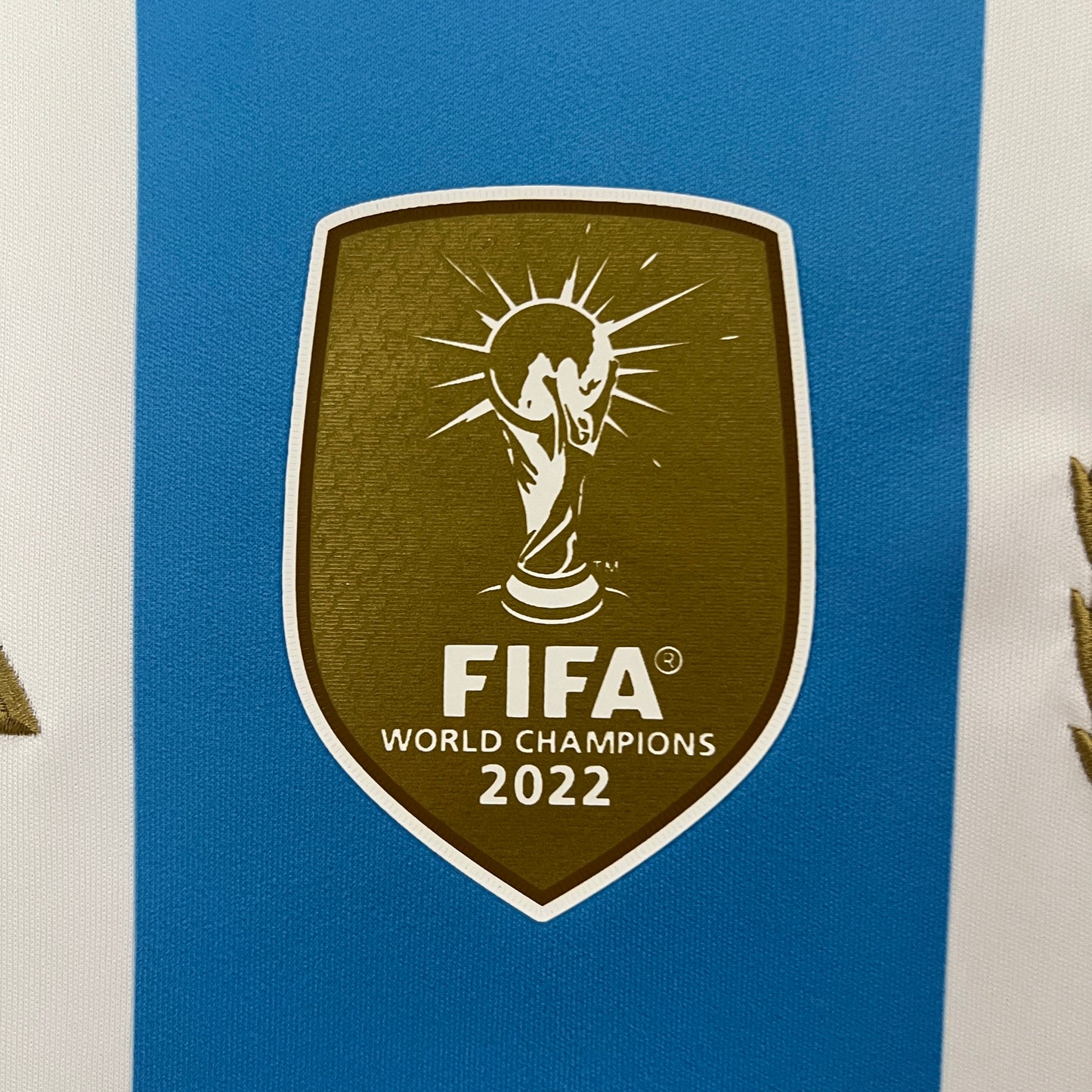 Camiseta Argentina primera equipación 24