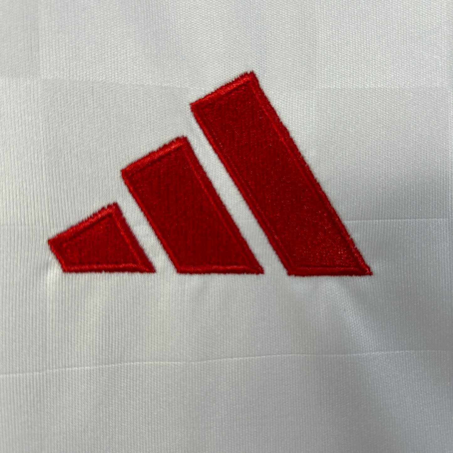 Camiseta Benfica Third Away 25/26