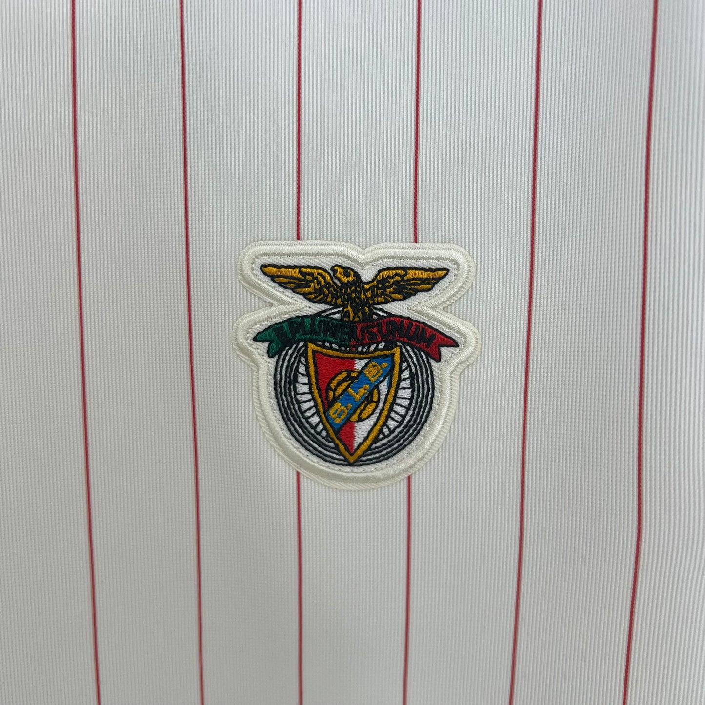 Camiseta Benfica edición especial 25/26