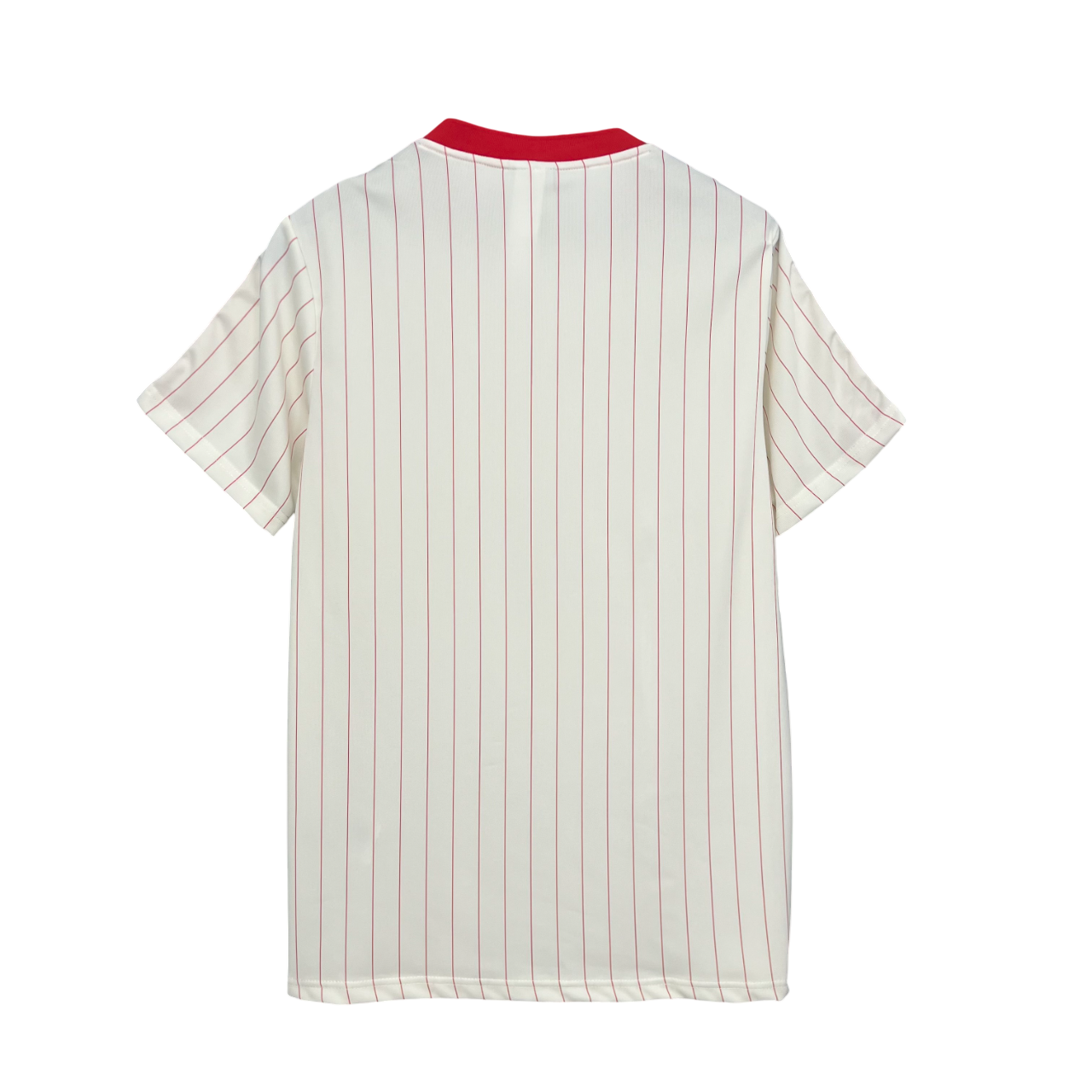 Camiseta Benfica edición especial 25/26