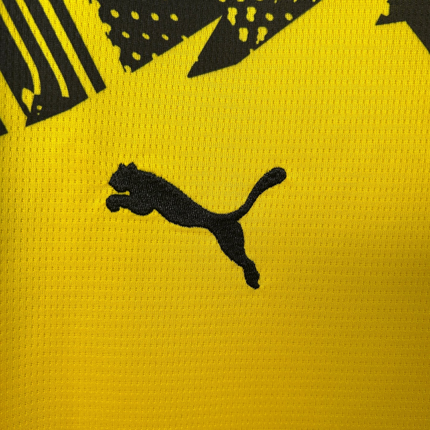 Camiseta Borussia Dortmund Home 25/26