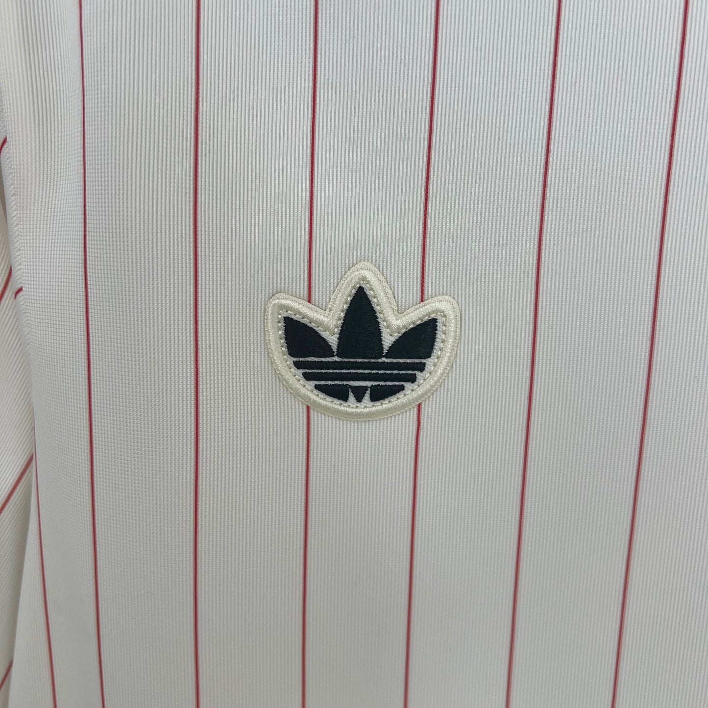Camiseta Benfica edición especial 25/26